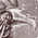 nephti